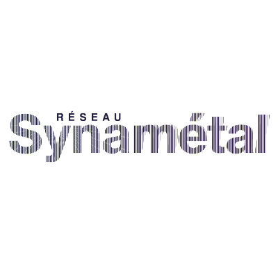 Logo Réseau Synamétal